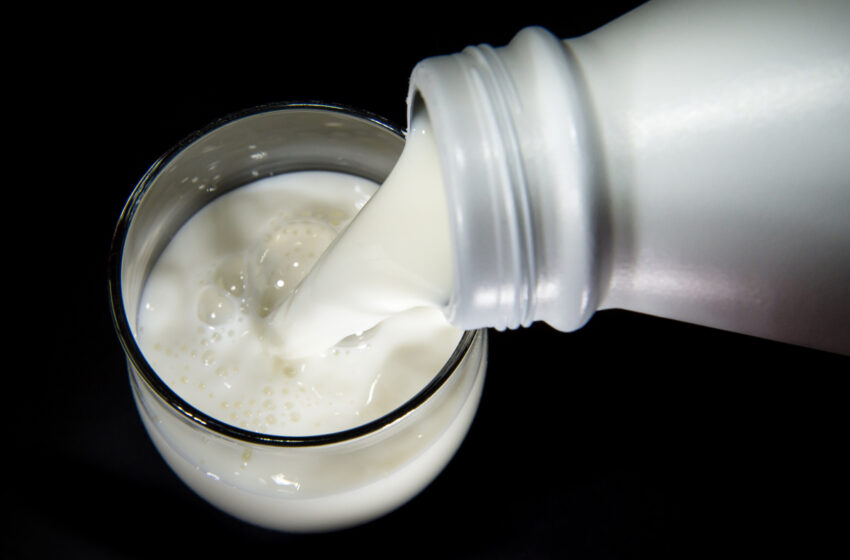  Panamá: Ya preparada para exportar lácteos a Costa Rica