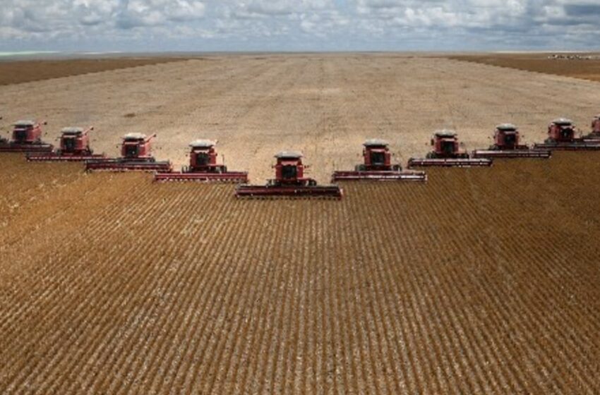 Nuevo récord histórico para producción de granos en Brasil