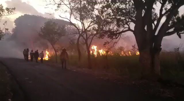  Bomberos sofocan  incendio forestal  en  finca La Loma,  Penonomé