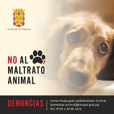  Gestión Ambiental presenta informe a la DIJ por muerte de mascota