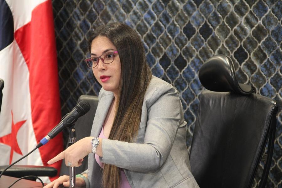 Diputada Zulay dice  los ciudadanos piden reforma migratoria