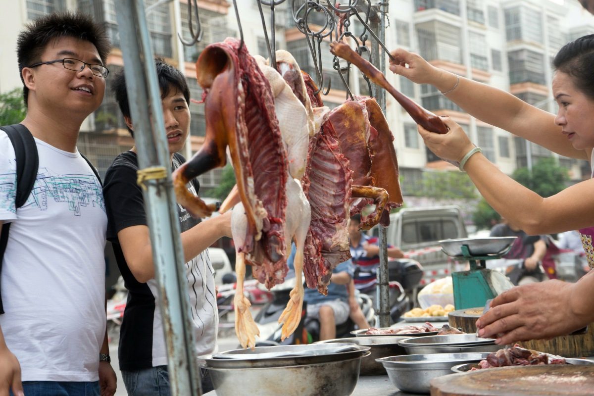 La ciudad china el consumo de perros, serpientes, gatos y otros animales