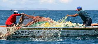  ARAP: Suspenden  en forma provisional las actividades pesqueras por el coronavirus