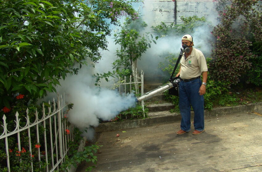  Región de Salud en operativo contra criaderos del mosquito