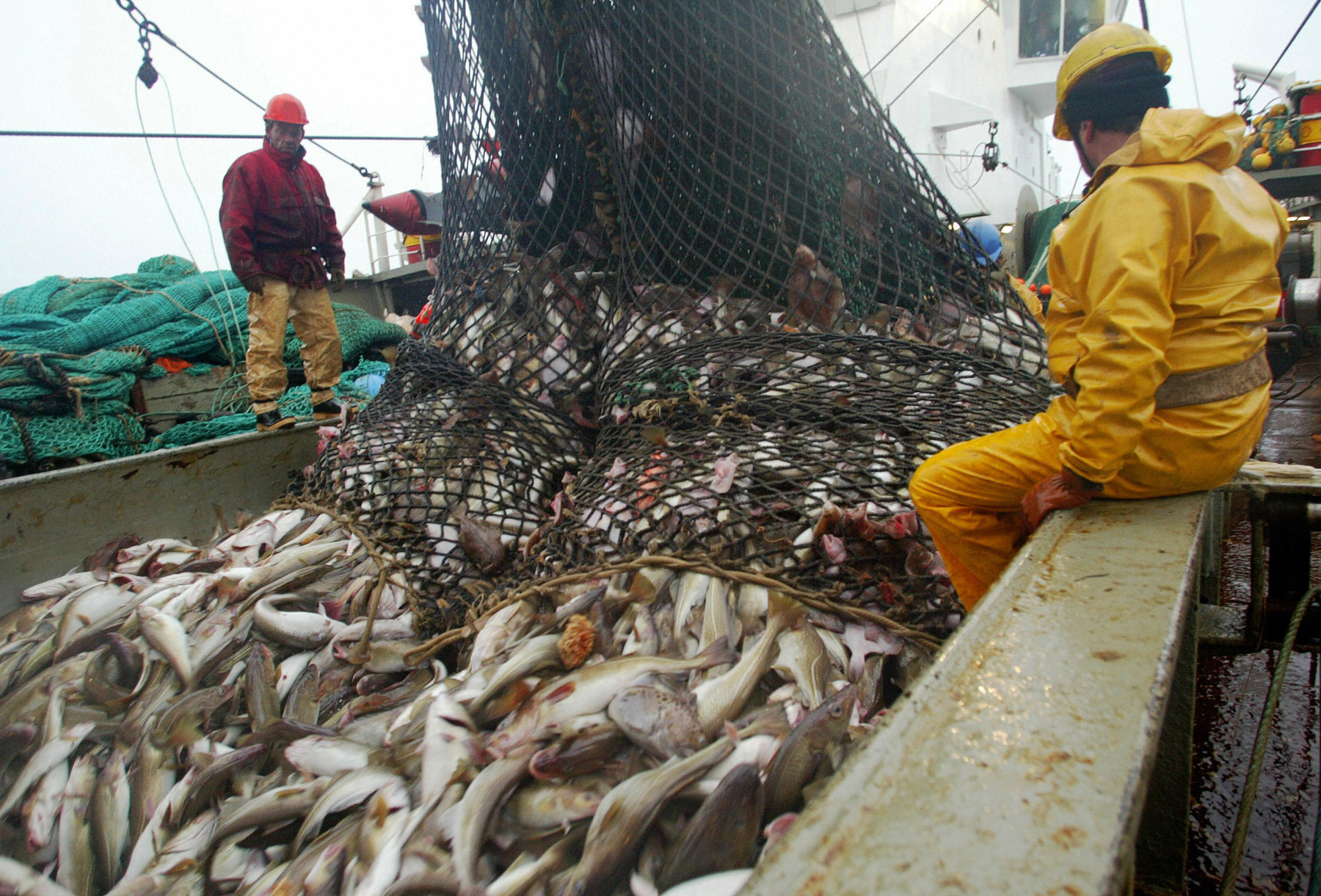 MIDA, Arap y pescadores firman acuerdo para mesa de diálogo
