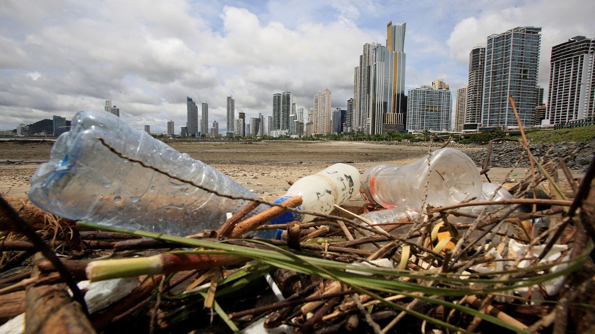 Un tercio de los niños del mundo está intoxicado por plomo