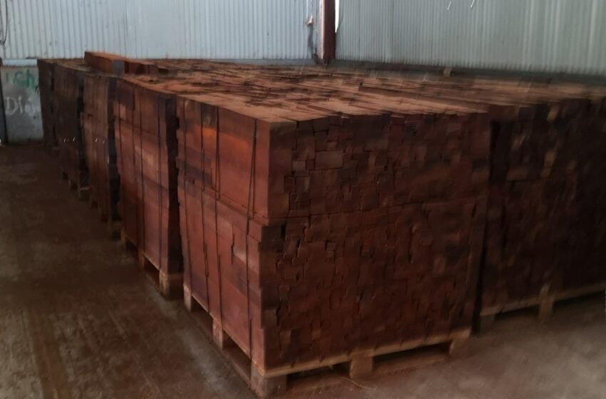  Decomisan cargamento de madera Cocobolo