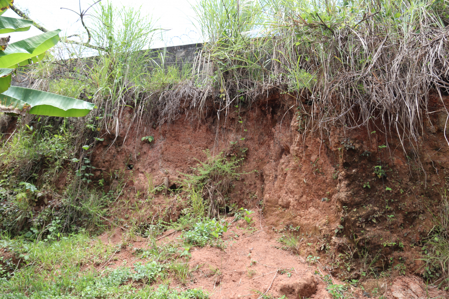 Medidas preventivas coordina SINAPROC en distrito de San Miguelito