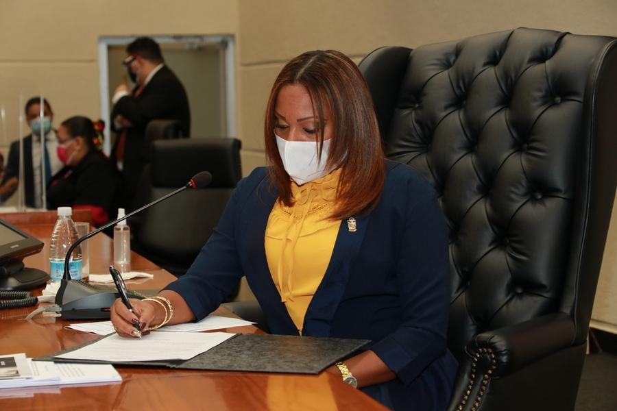 Diputados plantean se debe ayudar al sector transportista