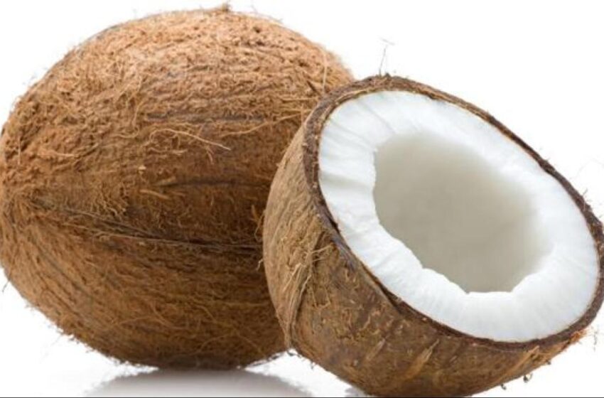  Científicos dicen el aceite de coco destruye el Covid-19