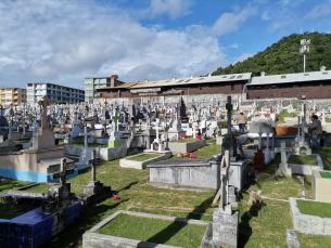  Personas en cementerio cumplieron medidas sanitarias