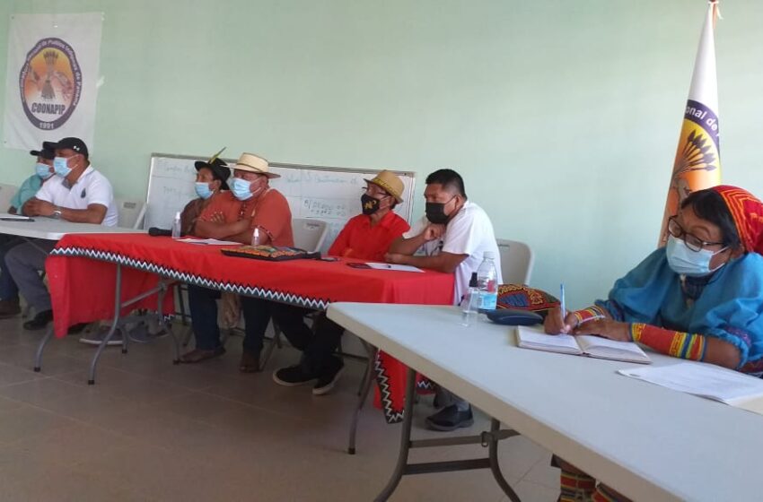  Indígenas piden al gobierno acciones frente a invasiones y tala ilegal de bosques