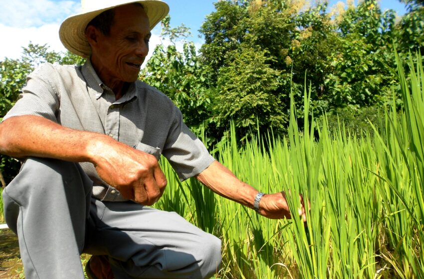  El Estado prestará atención al sector agropecuario, asegura el presidente Mulino