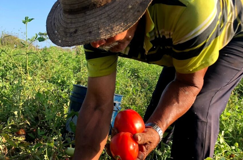  Panamá y Costa Rica se reúnen para asuntos agrícolas