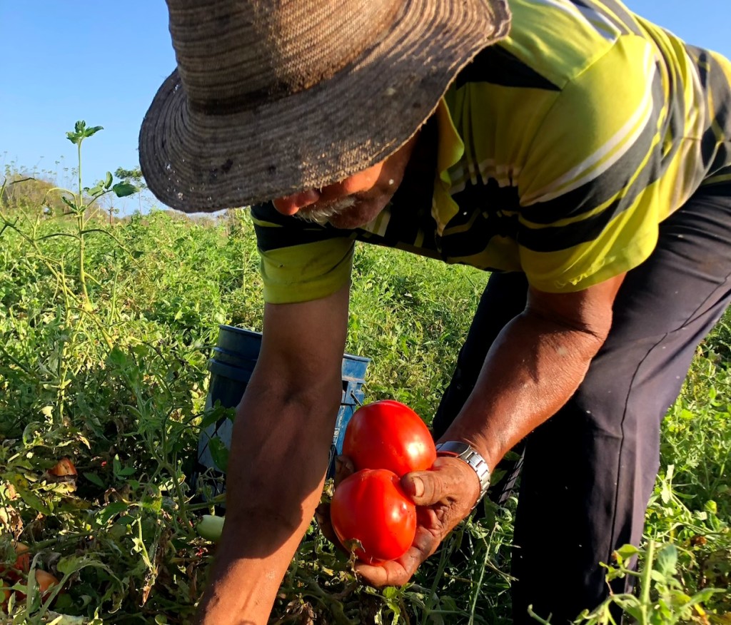 Panamá y Costa Rica se reúnen para asuntos agrícolas