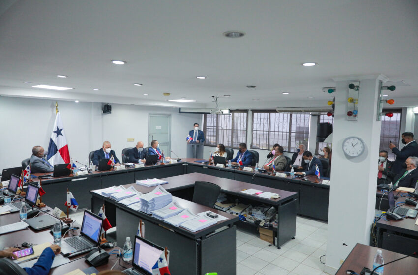  Vicepresidente Carrizo sustenta Informe Anual ante Comisión de Presupuesto