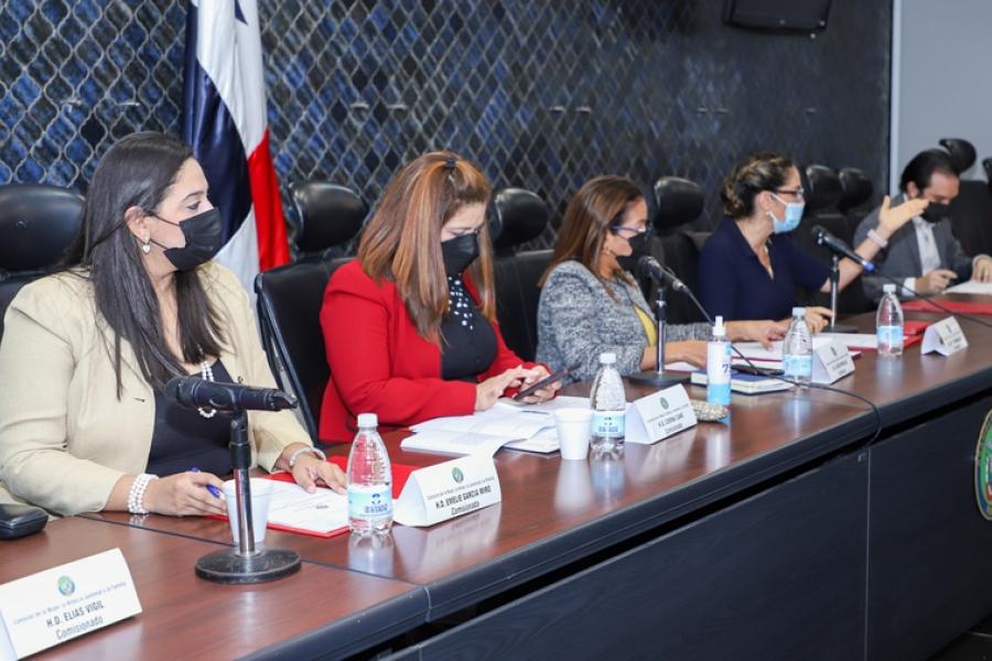 Autoridades de Seguridad y Policía son citados a la Asamblea Nacional