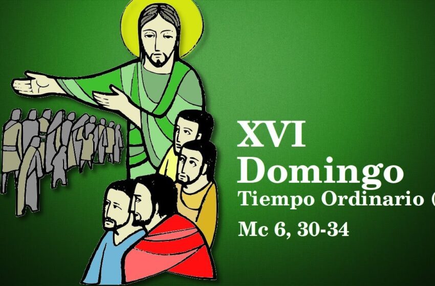  EL EVANGELIO DE HOY: DOMINGO XVI DE TIEMPO ORDINARIO