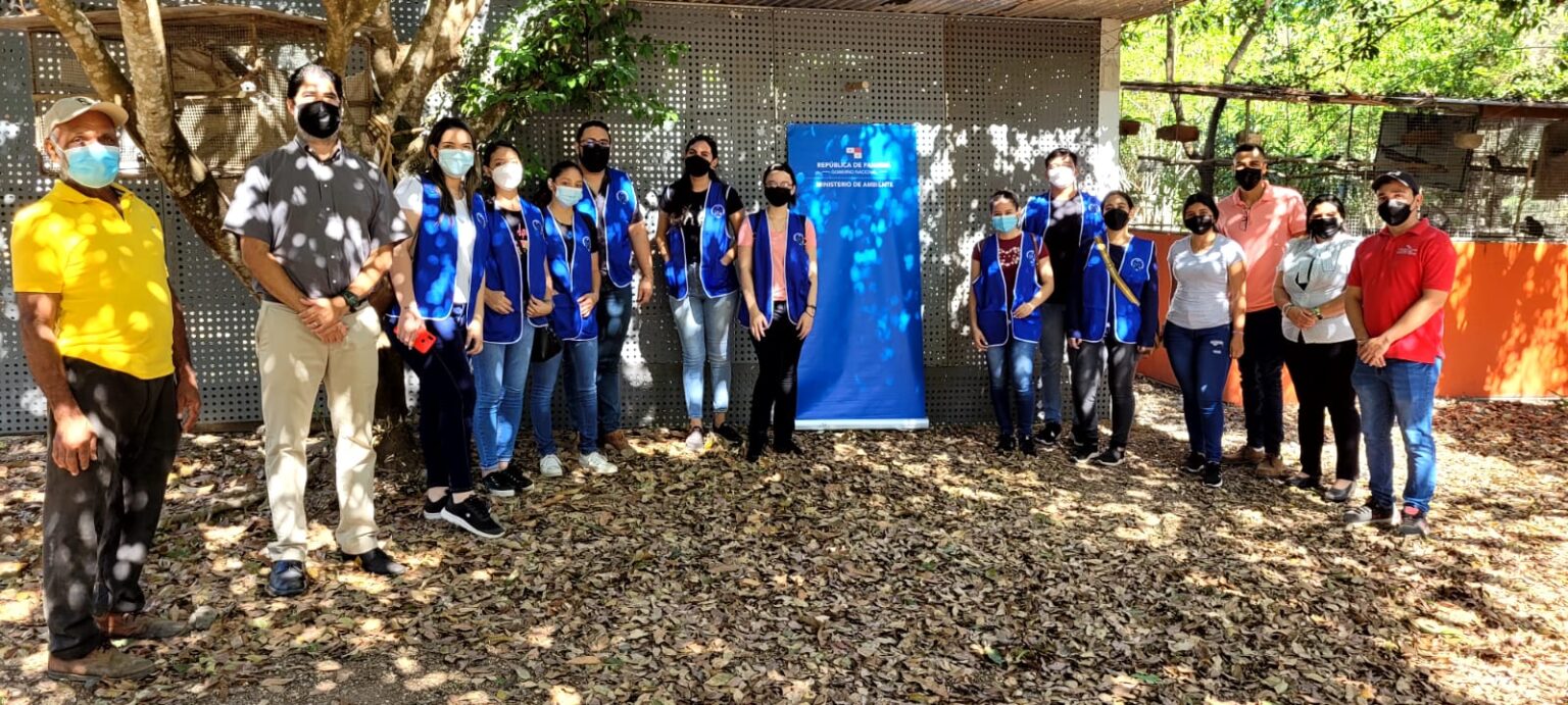 Estudiantes universitarios realizan voluntariado de animales silvestres