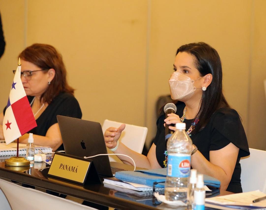 Ministra María Castillo presenta al CIS los avances del Sistema Nacional de Cuidados