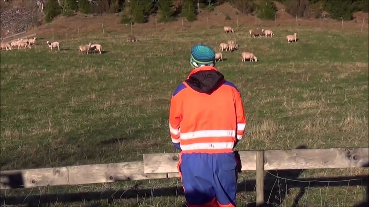 EL EVANGELIO DE HOY, Cuarto Domingo de Pascua – Domingo del Buen Pastor