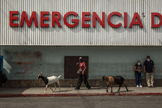  Guatemala tiene tres casos confirmados de viruela del mono