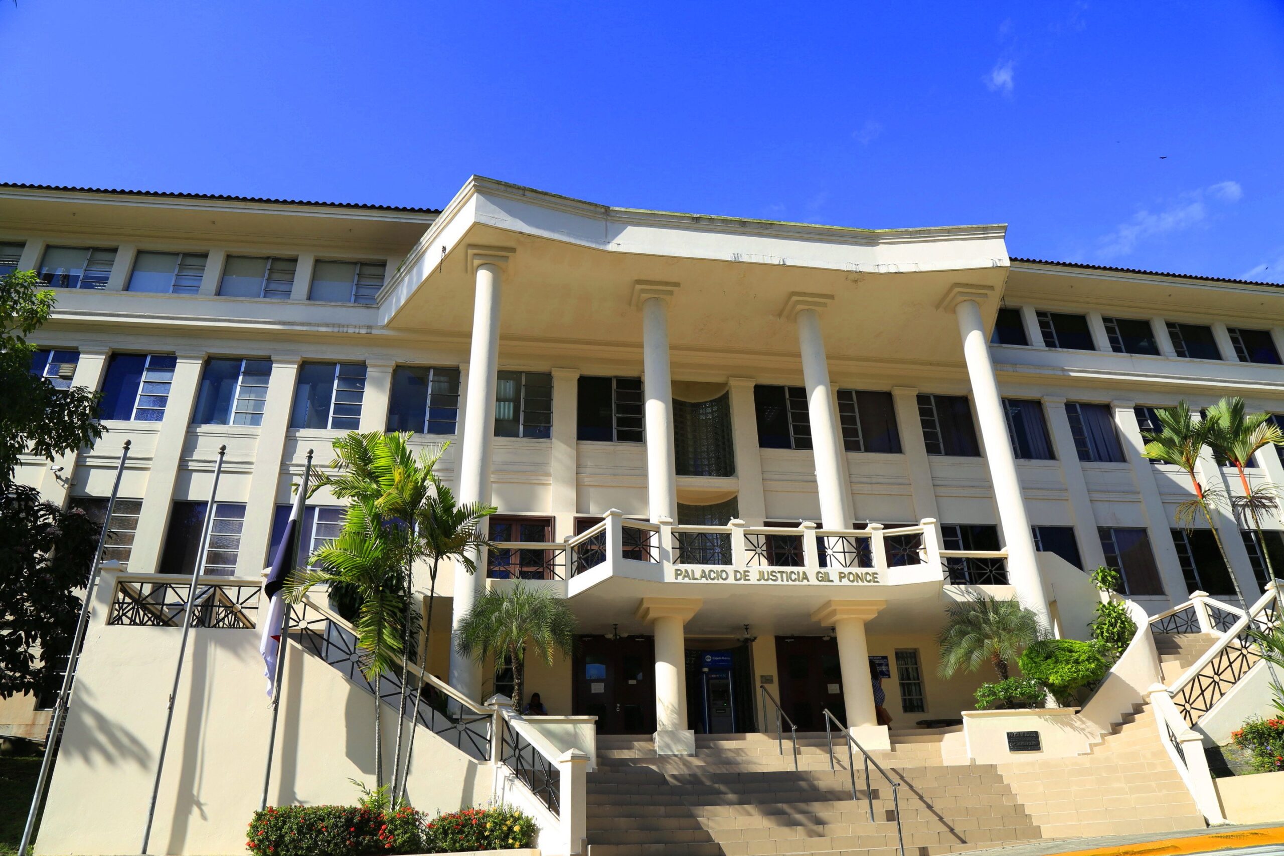 Conceden recursos de casación en caso New Busines