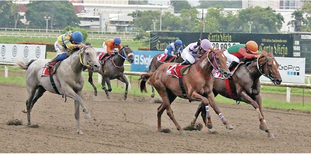 APROTURF: Descartar jornadas dominicales, atenta a la hípica panameña