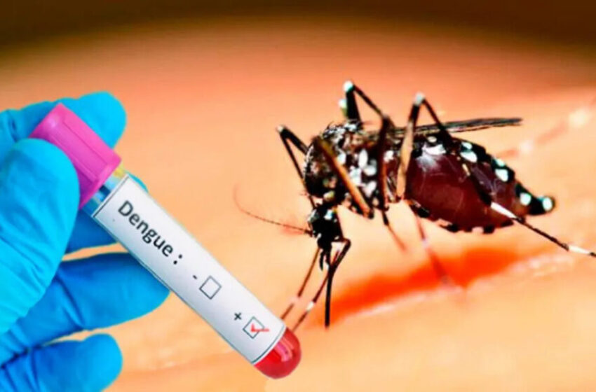  Cuba inicia estudios de vacuna contra el dengue