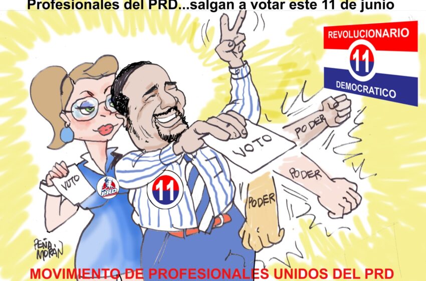  Profesionales del PRD intensifican las elecciones primarias