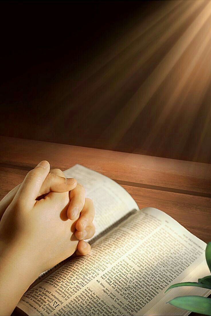 EL EVANGELIO DE HOY: 25º Domingo de Tiempo Ordinario