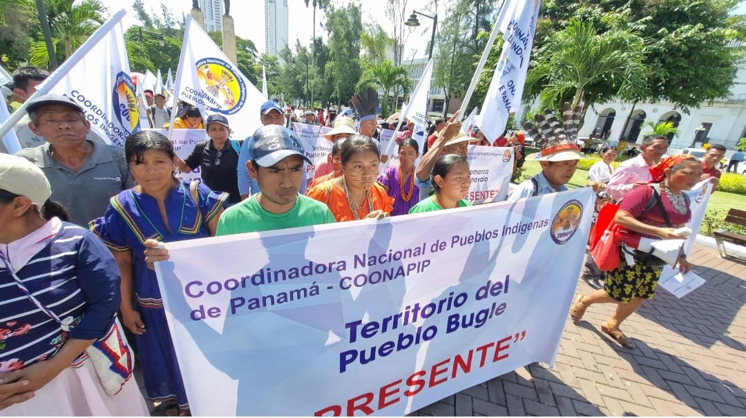 Pueblos originarios realizan marcha, destacan 12 de octubre