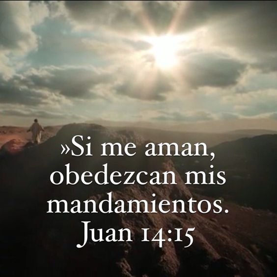 el-evangelio-de-hoy-cuarto-domingo-de-cuaresma