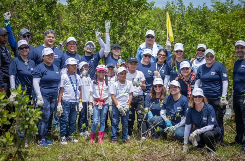  Realizan jornada de reforestación en Isla Galeta