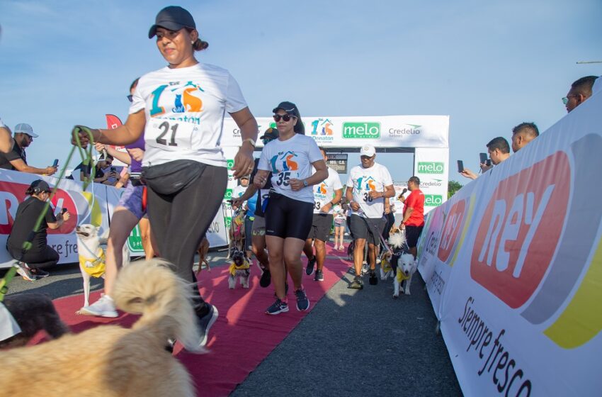  Apoyan evento para  esterilización de perros y gatos