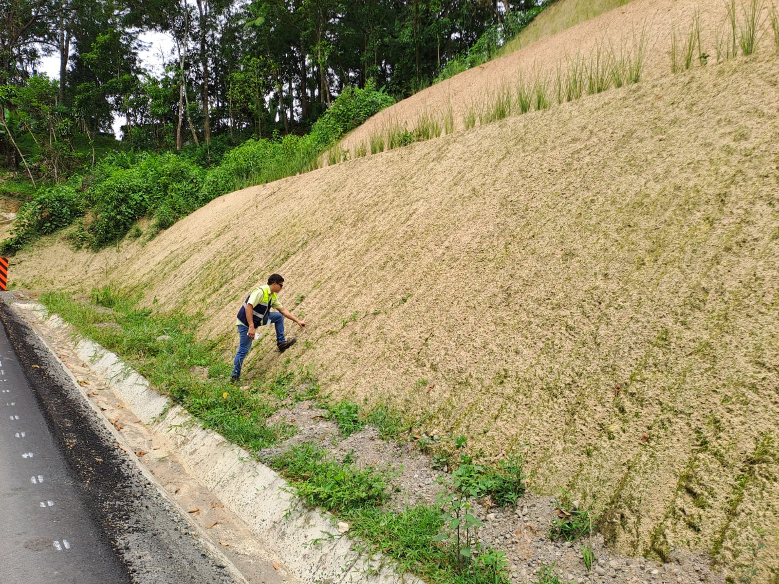 MOP garantiza proyectos viales cuidando equilibrio ecológico