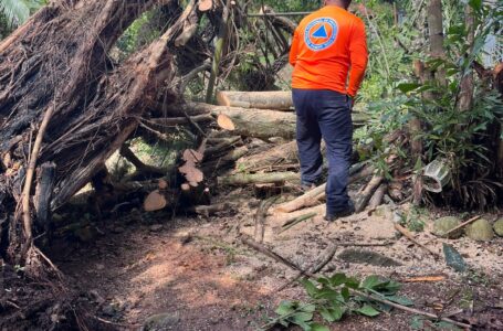 Reportes del Sinaproc frente a las intensas lluvias