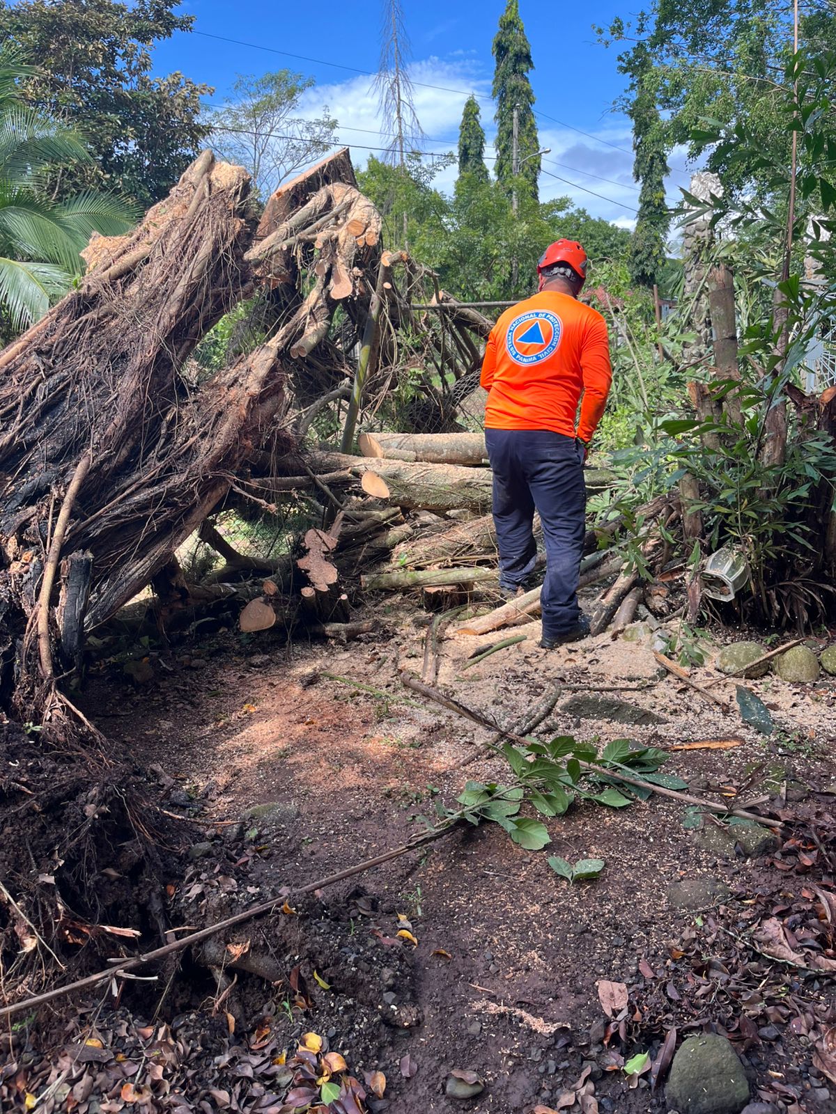 Reportes del Sinaproc frente a las intensas lluvias