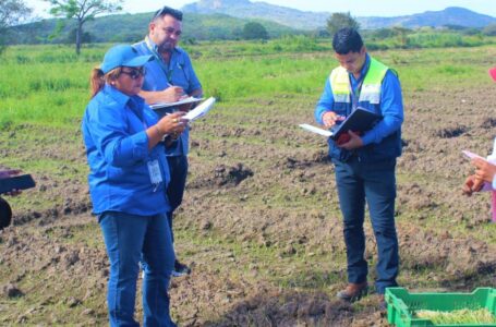 Mitradel previene el trabajo infantil en Coclé