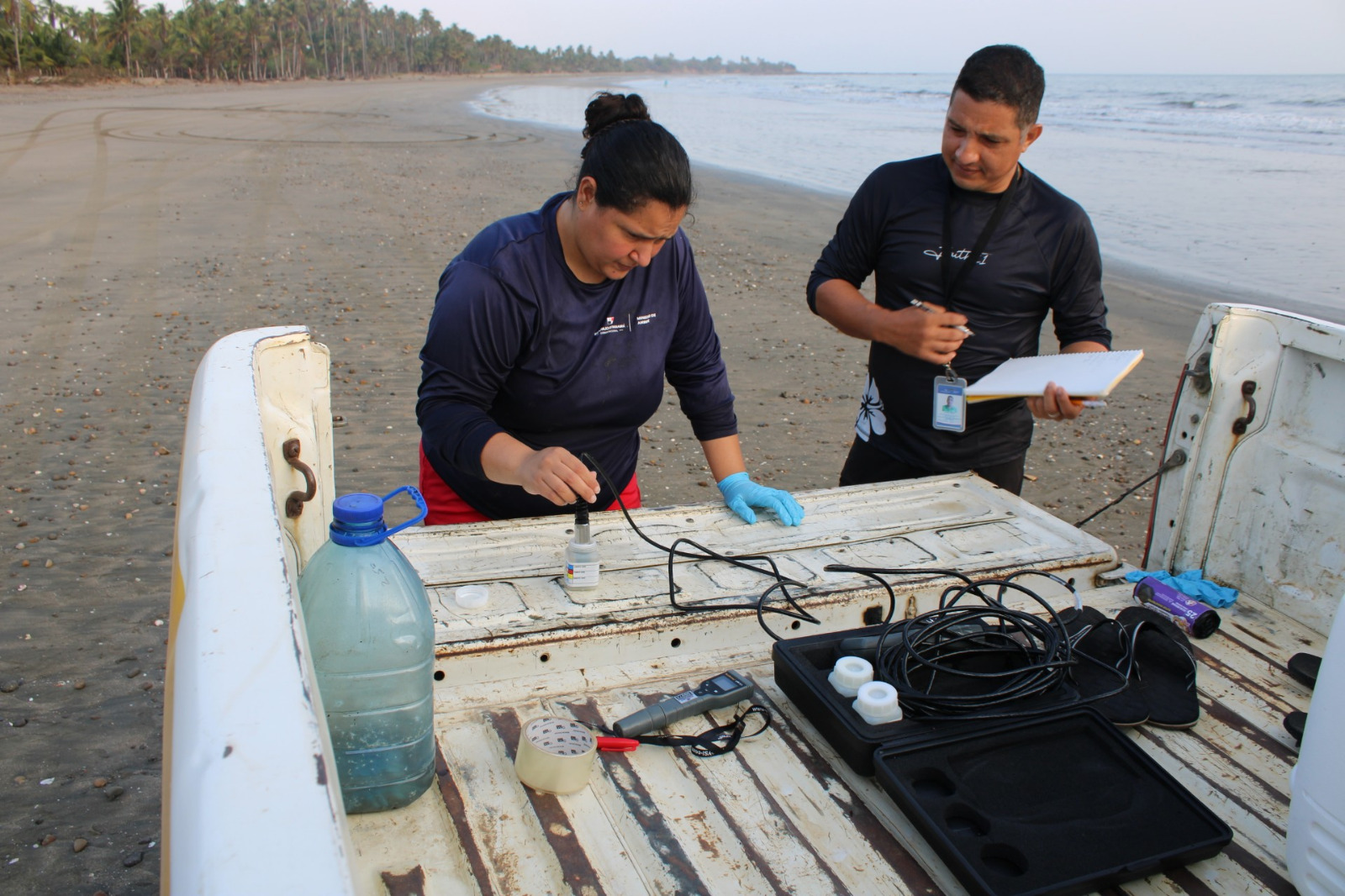 MiAMBIENTE monitorea calamares gigantes en Pedasí