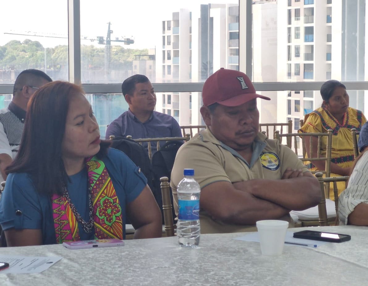 COONAPIP expresa preocupación al gobierno