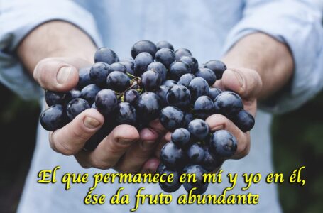 EL EVANGELIO DE HOY