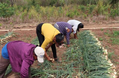 MIDES prepara proyecto para la mujer rural, financiado por  el BID