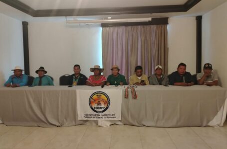 Indigenas reclaman sus derechos y seguridad social