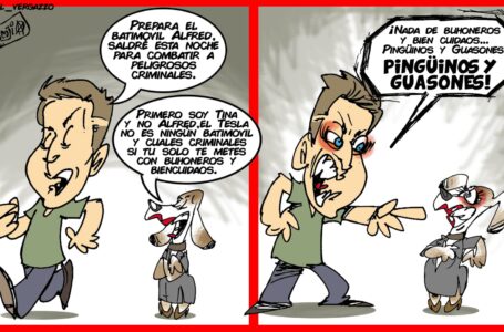 EL PAIPAZO