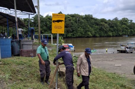 Identifican zonas con presencia de cocodrilos.