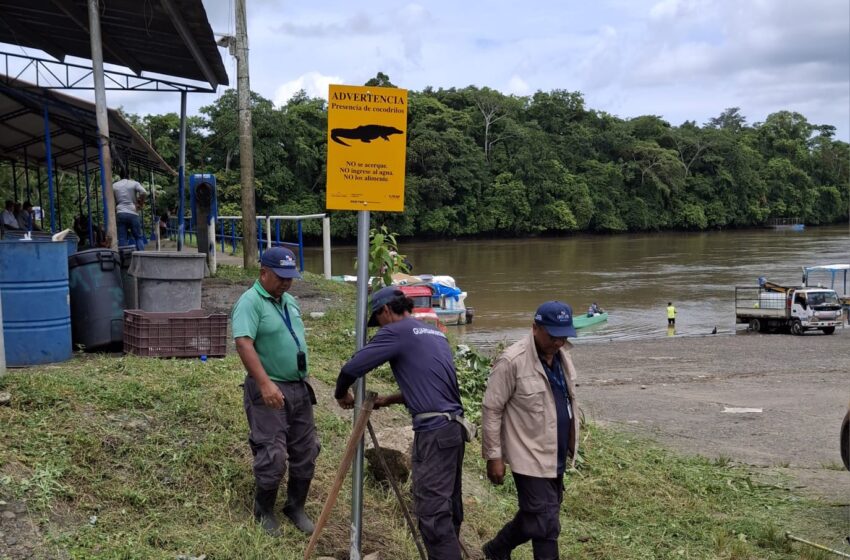 Identifican zonas con presencia de cocodrilos.