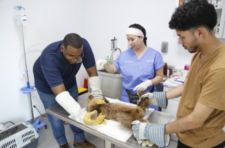 Fortalecen Clínica Veterinaria de MIAMBIENTE