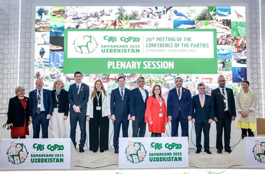  Gran evento de CITES será en Panamá
