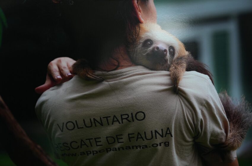  Ejercen control internacional para las especies silvestres